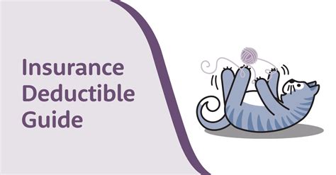 pet insurance deductibles
